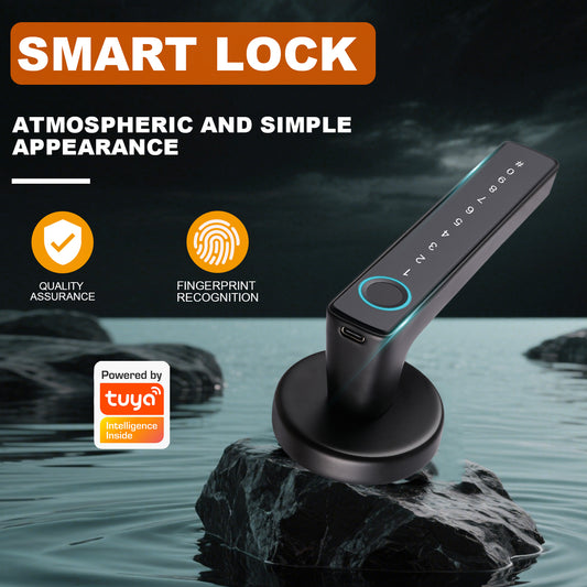 Tuya Biometric Smart Door Lock na may Electronic Fingerprint Handle, Split-Type Digital Keyless Lock