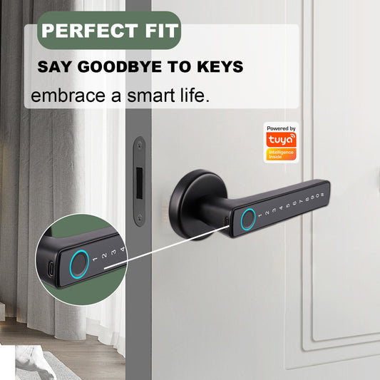 Tuya Biometric Smart Door Lock na may Electronic Fingerprint Handle, Split-Type Digital Keyless Lock