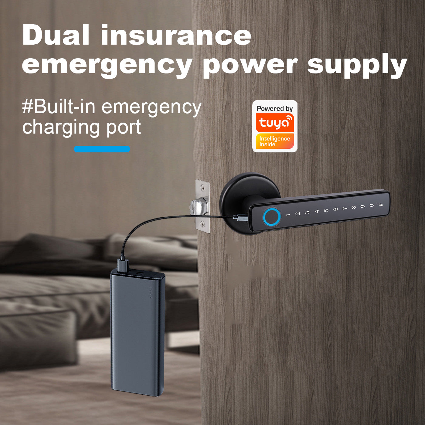 Tuya Biometric Smart Door Lock na may Electronic Fingerprint Handle, Split-Type Digital Keyless Lock