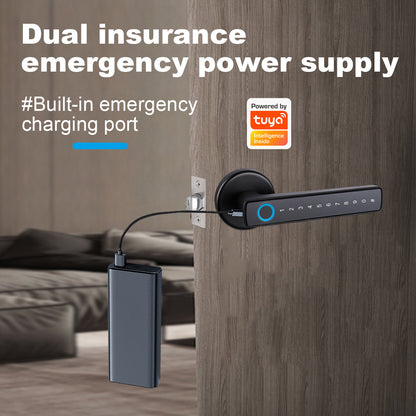 Tuya Biometric Smart Door Lock na may Electronic Fingerprint Handle, Split-Type Digital Keyless Lock