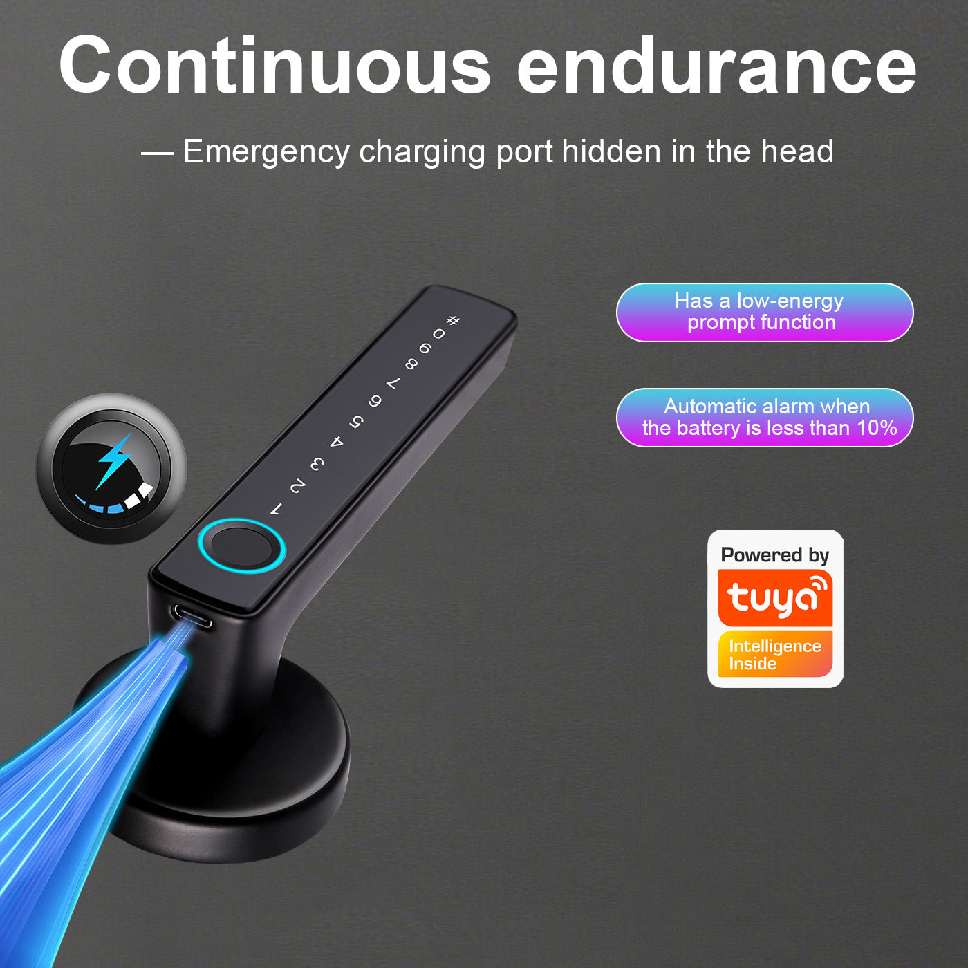 Tuya Biometric Smart Door Lock na may Electronic Fingerprint Handle, Split-Type Digital Keyless Lock