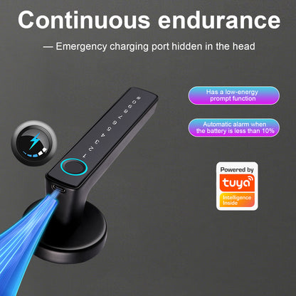 Tuya Biometric Smart Door Lock na may Electronic Fingerprint Handle, Split-Type Digital Keyless Lock