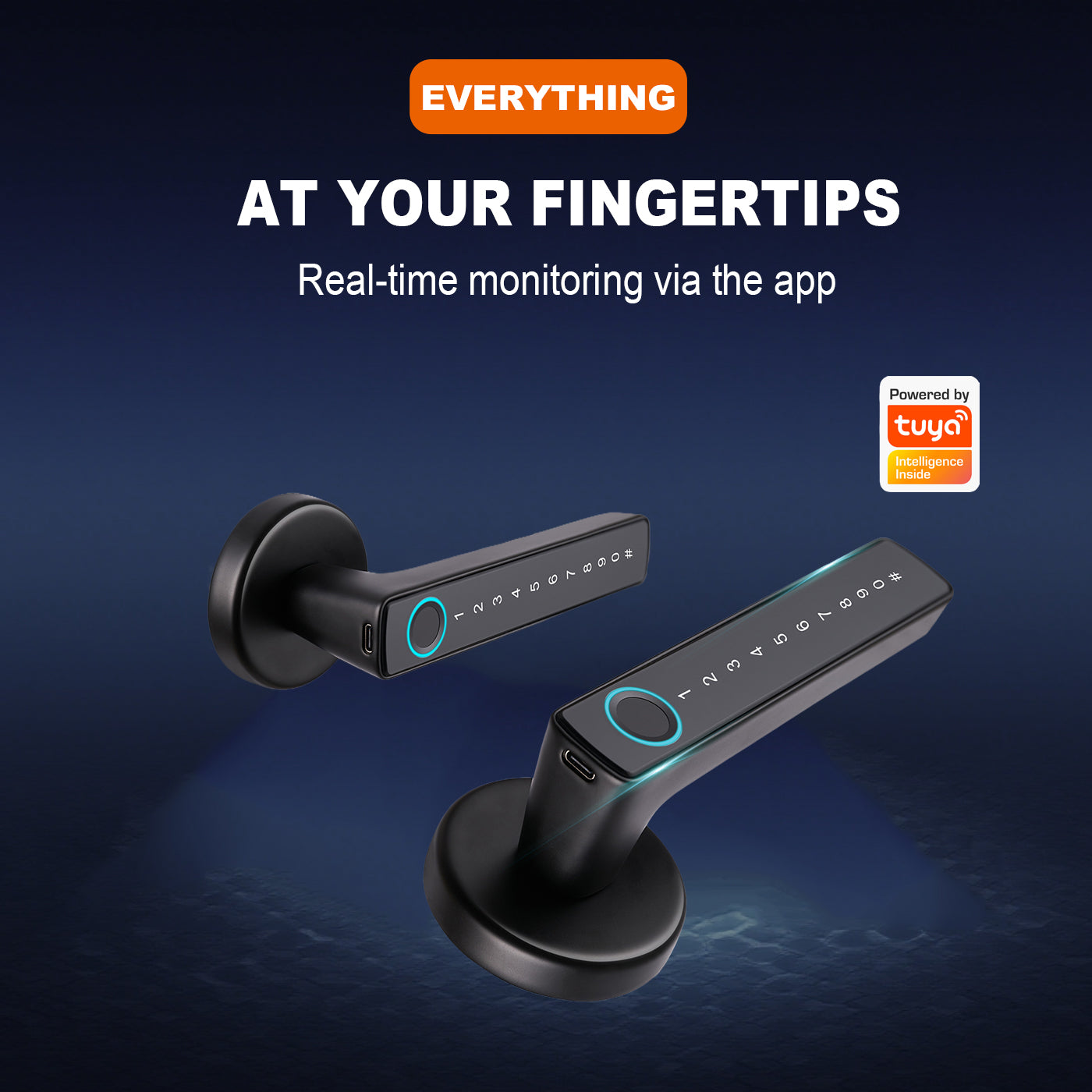 Tuya Biometric Smart Door Lock na may Electronic Fingerprint Handle, Split-Type Digital Keyless Lock