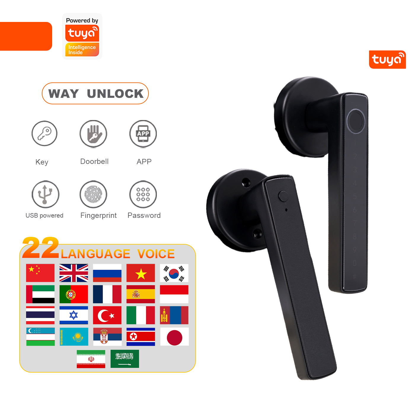 Tuya Biometric Smart Door Lock na may Electronic Fingerprint Handle, Split-Type Digital Keyless Lock
